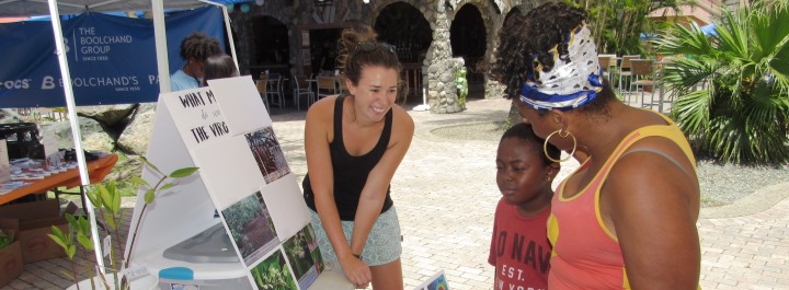 Learn about how mangroves are important to our islands.